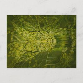 Anu/Elementair Groen Briefkaart