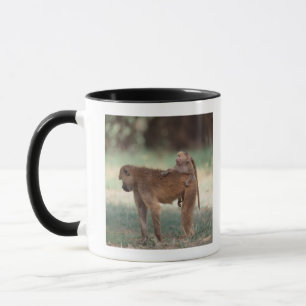 Anubis Baboon Mok