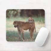 Anubis Baboon Muismat (Met muis)