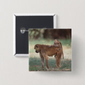 Anubis Baboon Vierkante Button 5,1 Cm (Voorkant /achterkant)