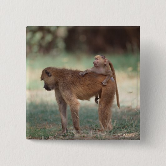 Anubis Baboon Vierkante Button 5,1 Cm (Voorkant)