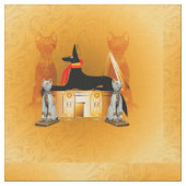 Anubis, oud Egyptisch Stof (Close Up)
