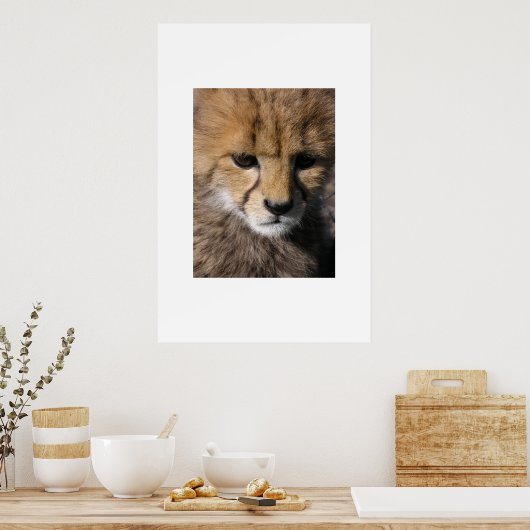 Anubis Poster (Keuken)