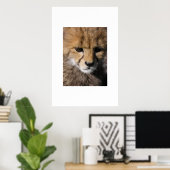 Anubis Poster (Thuiskantoor)