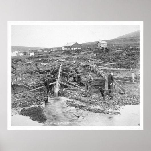 Anvil Creek Gold Mine Alaska 1916 Poster (Voorkant)