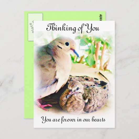 AnyOccasions_ Briefkaart (Voorkant / Achterkant)