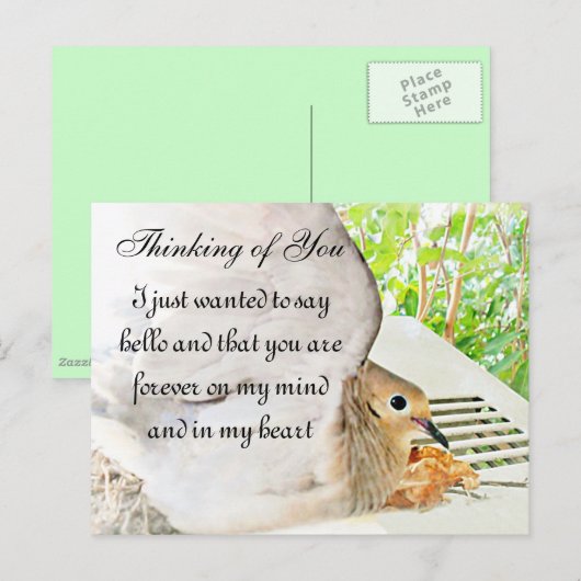 AnyOccasions_ Briefkaart (Voorkant / Achterkant)