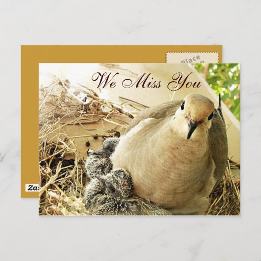 AnyOccasions_ Briefkaart (Voorkant / Achterkant)