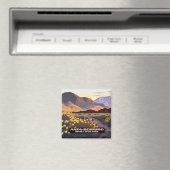 Anza Borrego Desert State Park, Californië Magneet (Insitu (Vaatwasser))