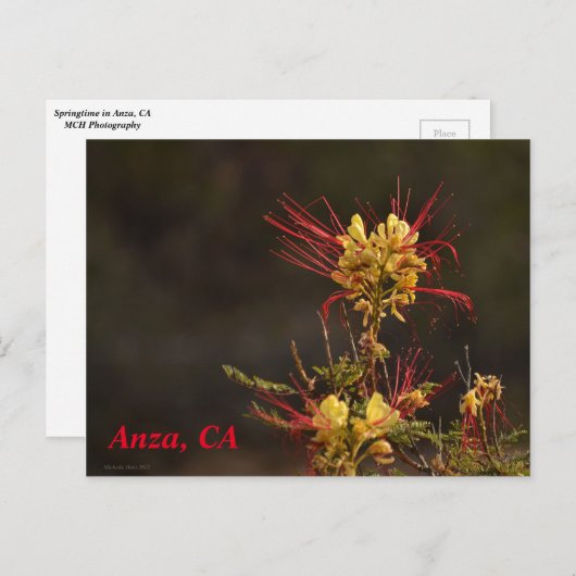 Anza, CA-Briefkaart Briefkaart (Voorkant / Achterkant)