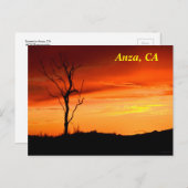 Anza, Californië Briefkaart (Voorkant / Achterkant)