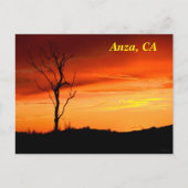 Anza, Californië Briefkaart (Voorkant)