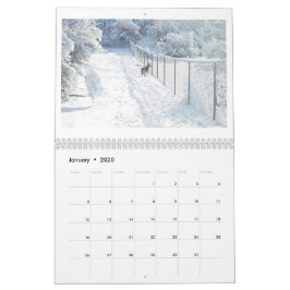 Anza, Californië, Twaalf Maand Calendar Kalender