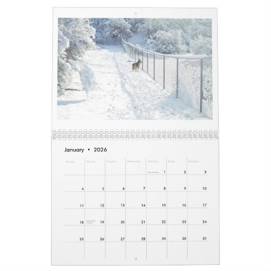 Anza, Californië, Twaalf Maand Calendar Kalender (Jan 2026)