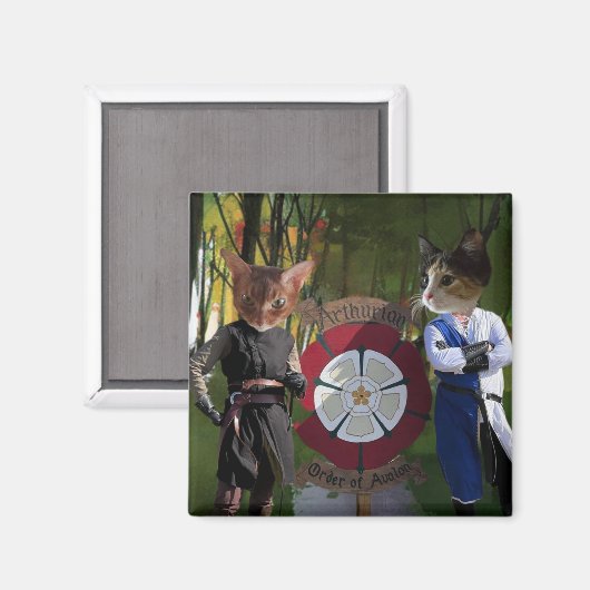 AOA Franse verbinding Magneet (Voorkant / Achterkant)