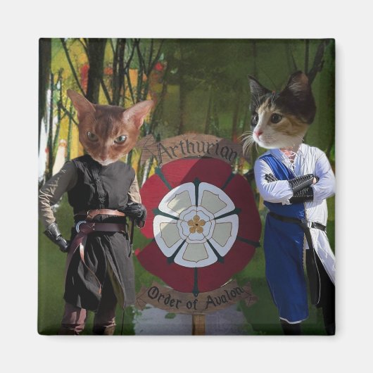 AOA Franse verbinding Magneet (Voorkant)