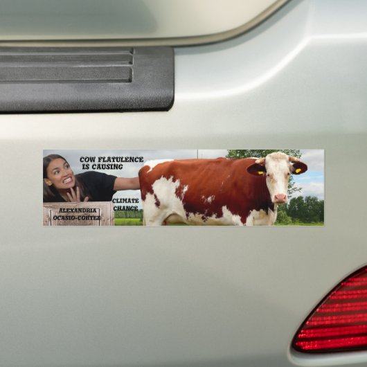 AOC-KLIMAATVERANDERING BUMPERSTICKER (Op auto)
