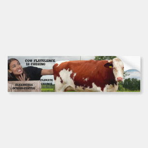AOC-KLIMAATVERANDERING BUMPERSTICKER