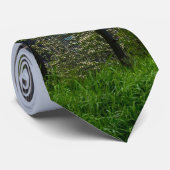 Aon en twee bedrijfseconomische Stropdassen (Opgerold)