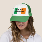 AON NA HÉIREANN TRUCKER PET (In situ)
