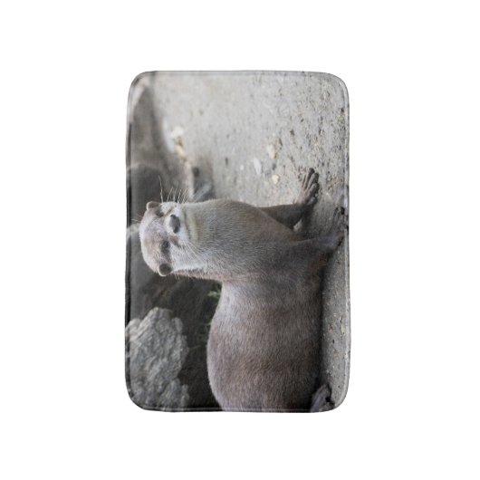 Aonyx cinerea badmat (Voorkant Verticaal)