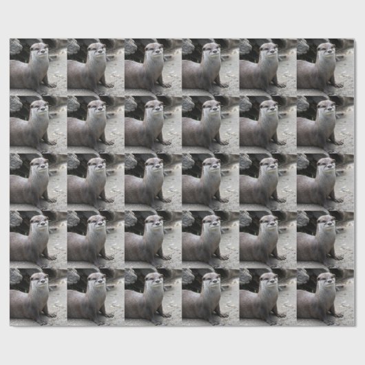 Aonyx cinerea cadeaupapier (Vlak)