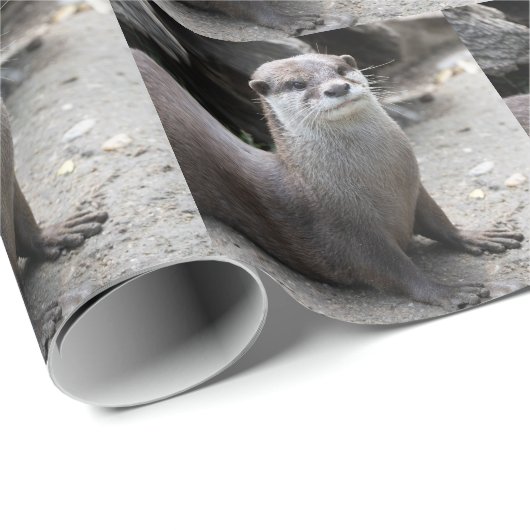 Aonyx cinerea cadeaupapier (Rol Hoek)