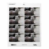 Aonyx cinerea etiket (Full Sheet)