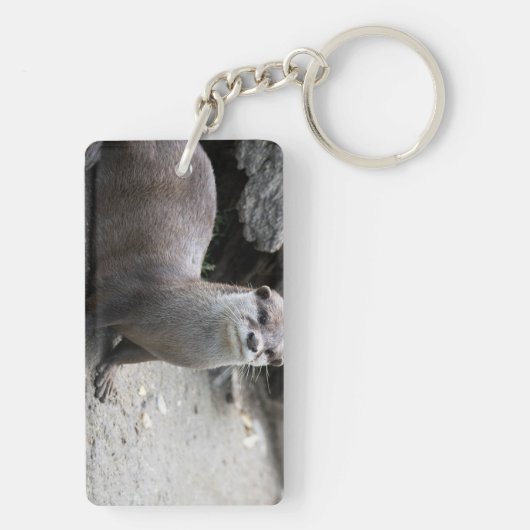 Aonyx cinerea sleutelhanger (achterkant)