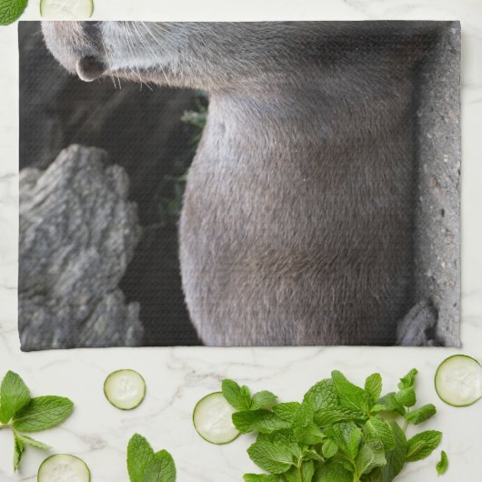 Aonyx cinerea theedoek (Gevouwen)