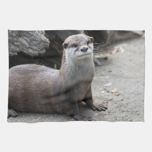 Aonyx cinerea theedoek (Horizontaal)