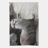 Aonyx cinerea theedoek (Verticaal)