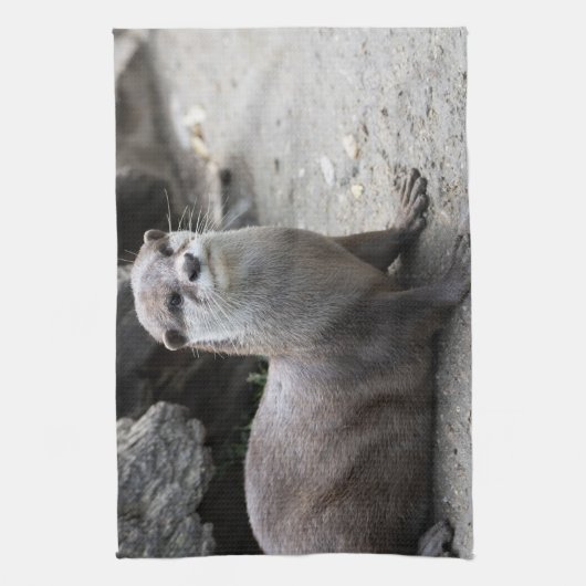 Aonyx cinerea theedoek (Verticaal)