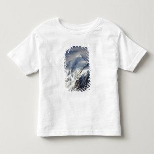 Aoraki Mount Cook, Mackenzie Country, South Kinder Shirts