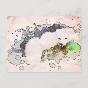 *~* AP18 Sneeuwwitpoolvos Wildlife Briefkaart