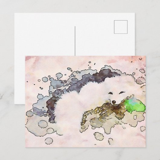 *~* AP18 Sneeuwwitpoolvos Wildlife Briefkaart (Voorkant / Achterkant)