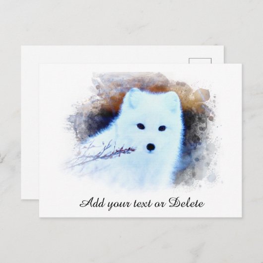 *~* AP18 Trwig Snow Fox White Fox Arctic Polar Briefkaart (Voorkant / Achterkant)