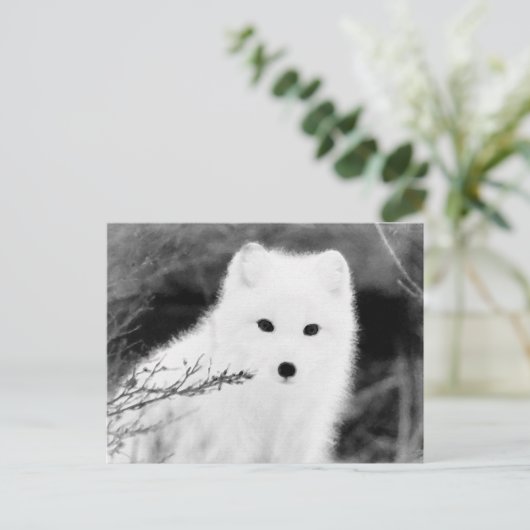 *~* AP18 Twig Fox White Snow Fox Arctic Polar Briefkaart (Staand voorkant)