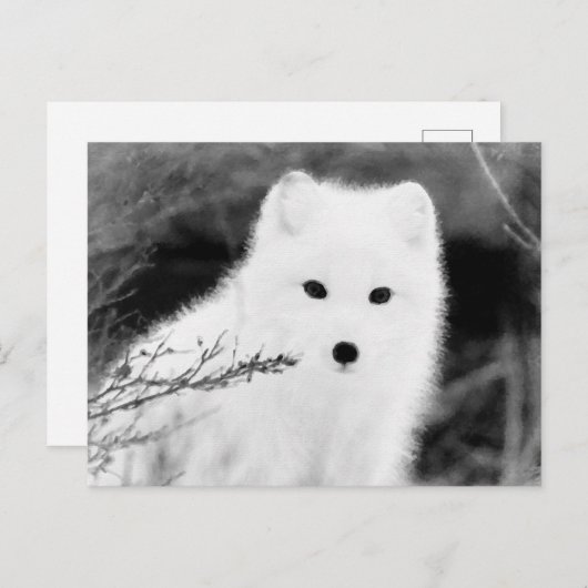 *~* AP18 Twig Fox White Snow Fox Arctic Polar Briefkaart (Voorkant / Achterkant)
