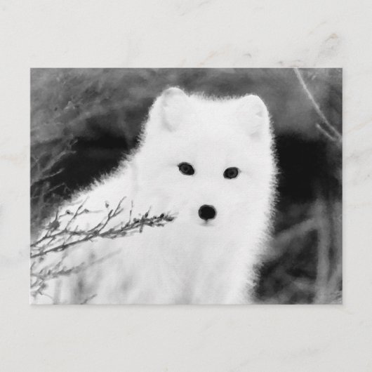 *~* AP18 Twig Fox White Snow Fox Arctic Polar Briefkaart (Voorkant)