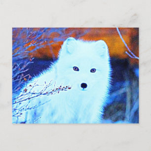 *~* AP18 Twig Snow Fox White Fox Arctic Polar Briefkaart