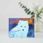 *~* AP18 Twig Snow Fox White Fox Arctic Polar Briefkaart (Staand voorkant)