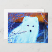 *~* AP18 Twig Snow Fox White Fox Arctic Polar Briefkaart (Voorkant / Achterkant)