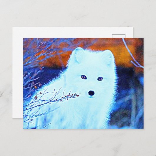 *~* AP18 Twig Snow Fox White Fox Arctic Polar Briefkaart (Voorkant / Achterkant)