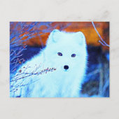 *~* AP18 Twig Snow Fox White Fox Arctic Polar Briefkaart (Voorkant)