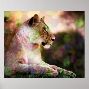 *~* AP23 Artistieke RAINBOW Abstracte LIONESS Art Poster