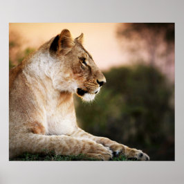 *~* AP23 Artistieke Waterverf Golden LIONESS Artsy Poster
