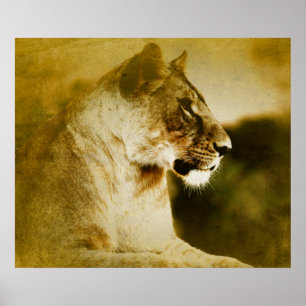 *~* AP23 Artistieke Waterverf Golden LIONESS Artsy Poster