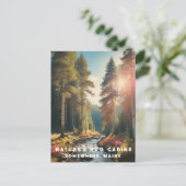 *~* AP49 Maine Forest Bossen Stream Vakantie Natuu Briefkaart (Staand voorkant)