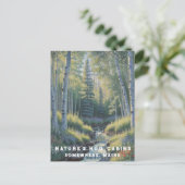 *~* AP49 Natuur Maine Bos Bossen Waterval Briefkaart (Staand voorkant)